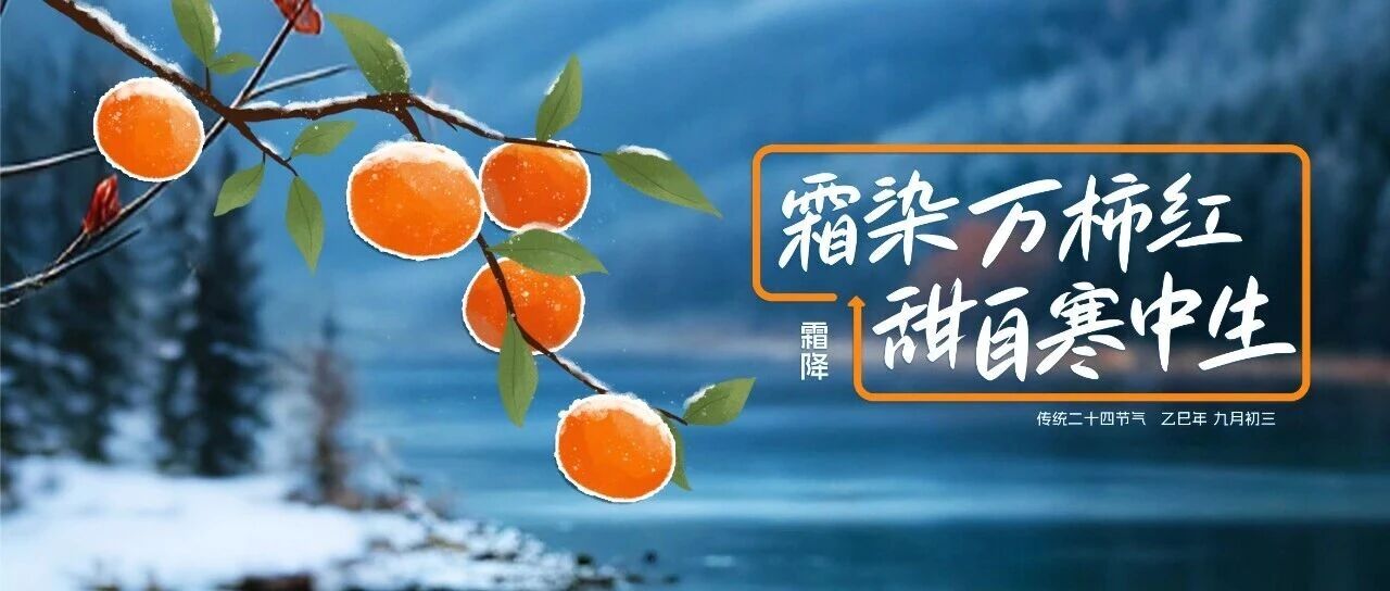 霜降|霜色已至，正是掛霜成金的季節